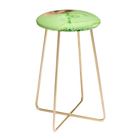 Olivia St Claire Spring Essentials Counter Stool