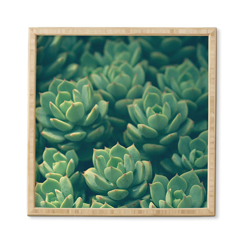 Olivia St Claire Succulents Framed Wall Art