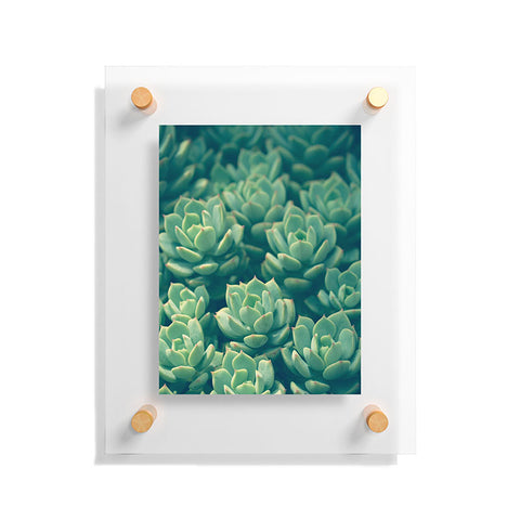 Olivia St Claire Succulents Floating Acrylic Print