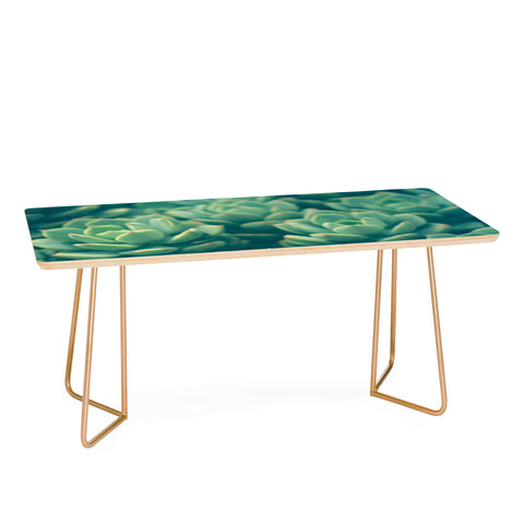 Olivia St Claire Succulents Coffee Table