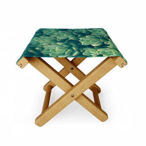 Olivia St Claire Succulents Folding Stool