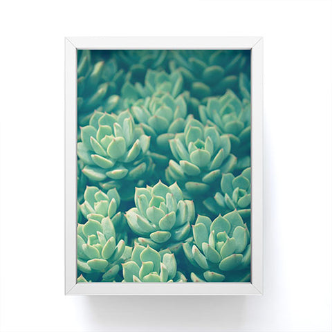 Olivia St Claire Succulents Framed Mini Art Print