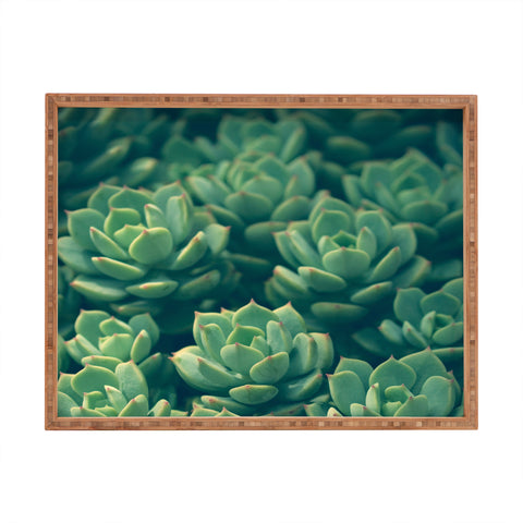 Olivia St Claire Succulents Rectangular Tray