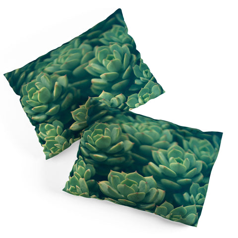 Olivia St Claire Succulents Pillow Shams