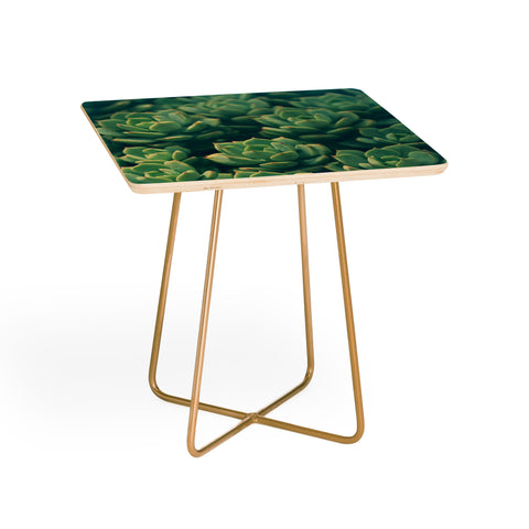 Olivia St Claire Succulents Side Table