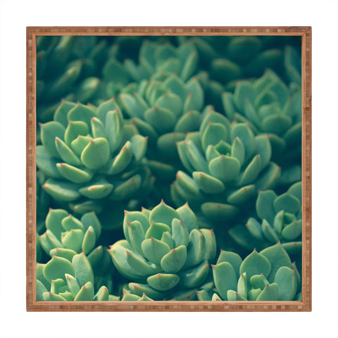 Olivia St Claire Succulents Square Tray