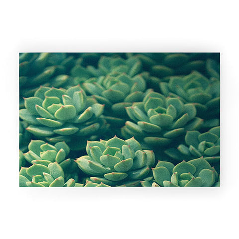 Olivia St Claire Succulents Welcome Mat