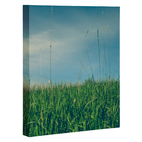 Olivia St Claire Summer Day Art Canvas