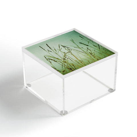 Olivia St Claire Summer Meadow Acrylic Box