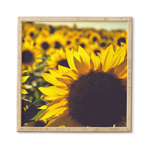 Olivia St Claire Summer Sunflower Love Framed Wall Art