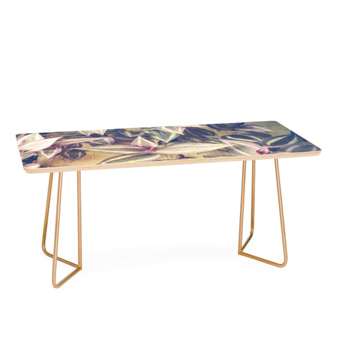 Olivia St Claire Wandering Coffee Table