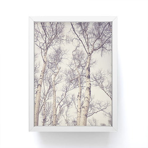 Olivia St Claire Winter Birch Trees Framed Mini Art Print