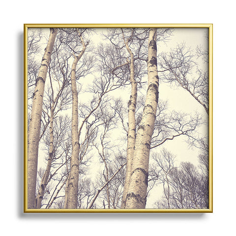 Olivia St Claire Winter Birch Trees Metal Square Framed Art Print