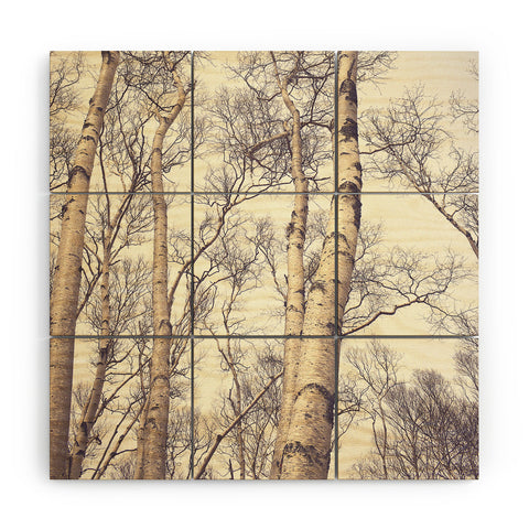 Olivia St Claire Winter Birch Trees Wood Wall Mural
