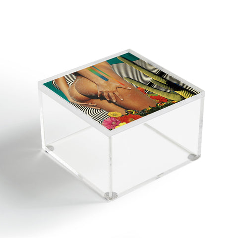 Olivia Stafne Art A Perfect World Acrylic Box