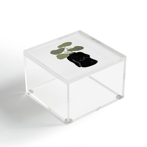 Orara Studio Boob Tanical Vase Acrylic Box