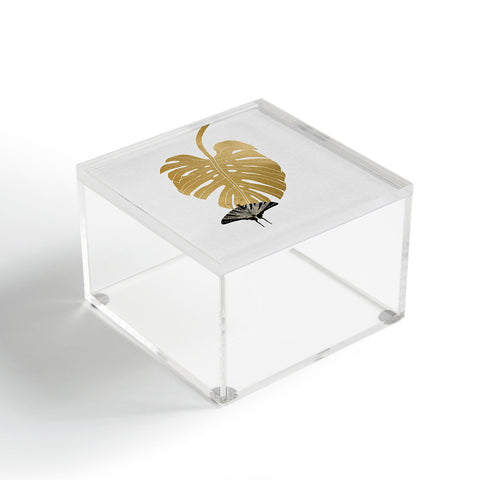 Orara Studio Butterfly and Monstera Leaf Acrylic Box