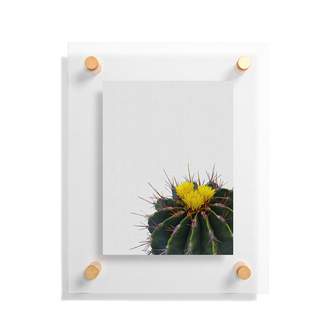 Orara Studio Flower Cactus Floating Acrylic Print