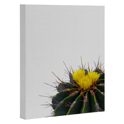 Orara Studio Flower Cactus Art Canvas