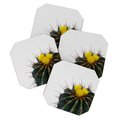 Orara Studio Flower Cactus Coaster Set