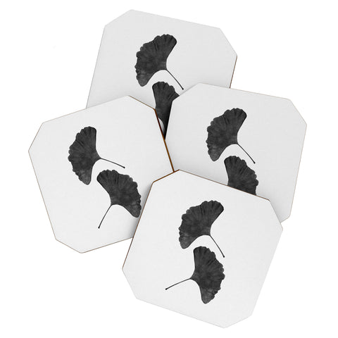 Orara Studio Ginkgo Leaf Black and White II Coaster Set