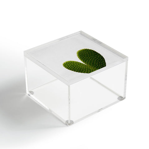 Orara Studio Heart Cactus Acrylic Box