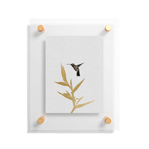 Orara Studio Hummingbird and Flower II Floating Acrylic Print