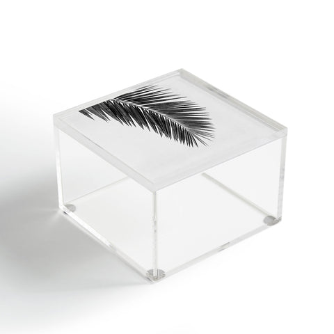 Orara Studio Palm Leaf Black and White I Acrylic Box