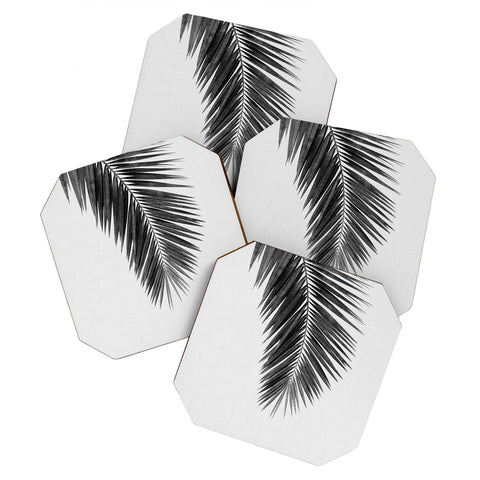 Orara Studio Palm Leaf Black and White I Coaster Set