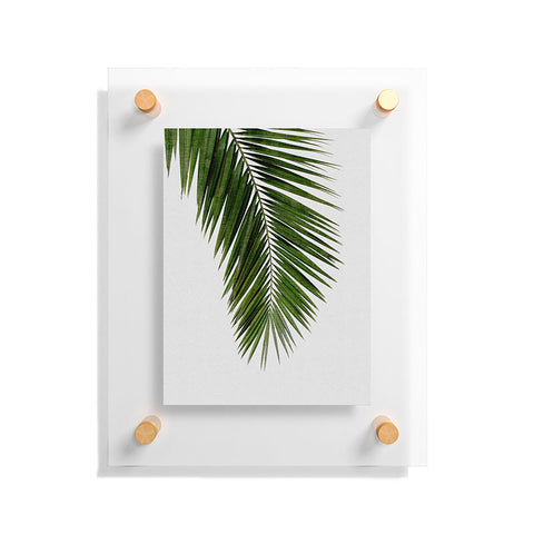 Orara Studio Palm Leaf I Floating Acrylic Print