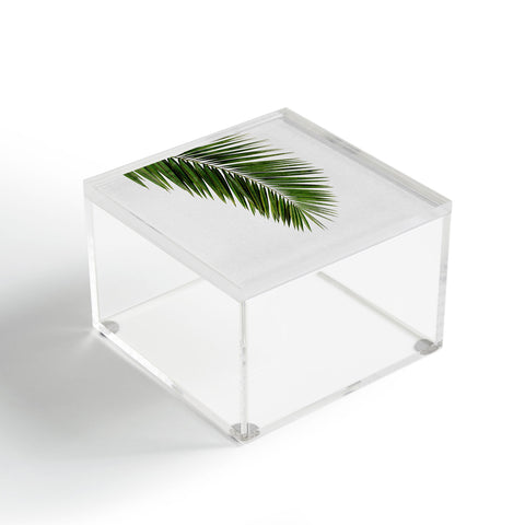 Orara Studio Palm Leaf I Acrylic Box