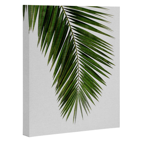 Orara Studio Palm Leaf I Art Canvas