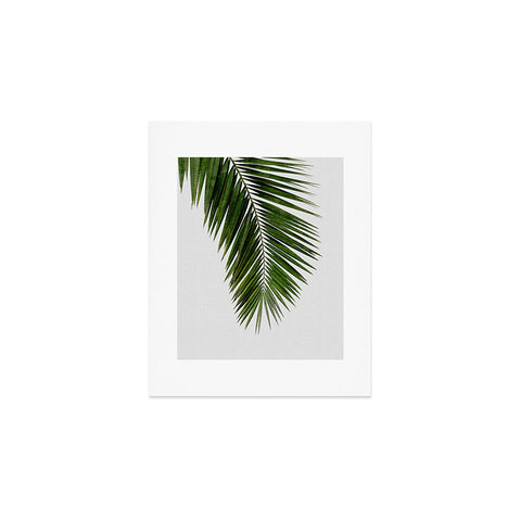 Orara Studio Palm Leaf I Art Print