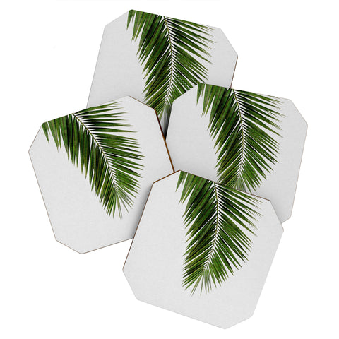Orara Studio Palm Leaf I Coaster Set