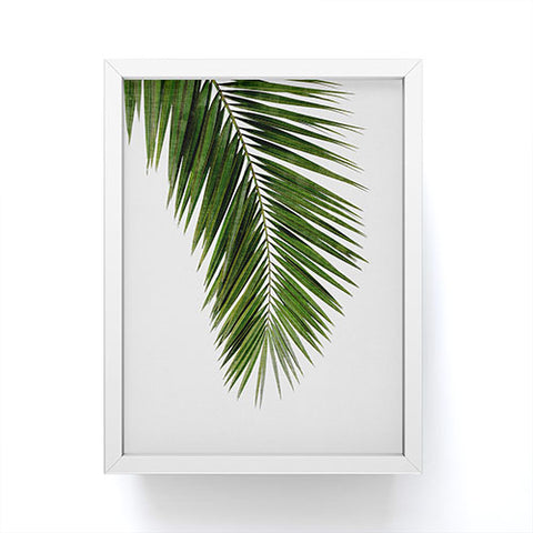 Orara Studio Palm Leaf I Framed Mini Art Print