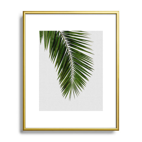 Orara Studio Palm Leaf I Metal Framed Art Print