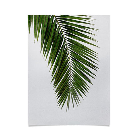 Orara Studio Palm Leaf I Poster