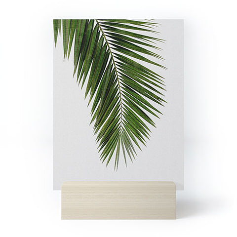 Orara Studio Palm Leaf I Mini Art Print