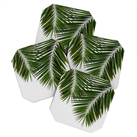 Orara Studio Palm Leaf II Coaster Set