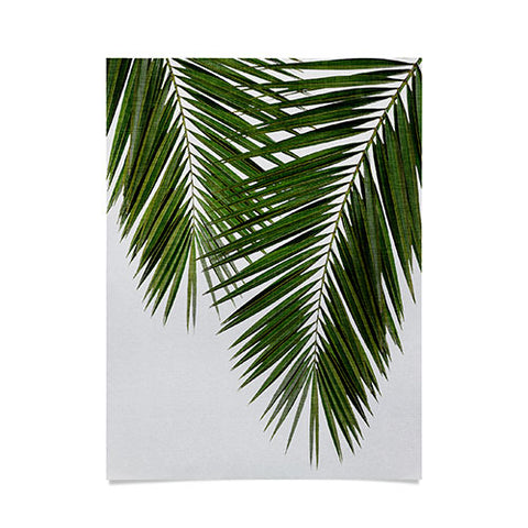 Orara Studio Palm Leaf II Poster