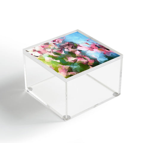 Paul Kimble Cherry Acrylic Box