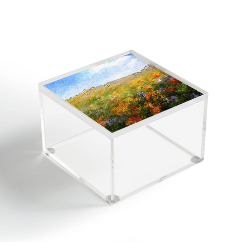 Paul Kimble Daydream Desert Acrylic Box