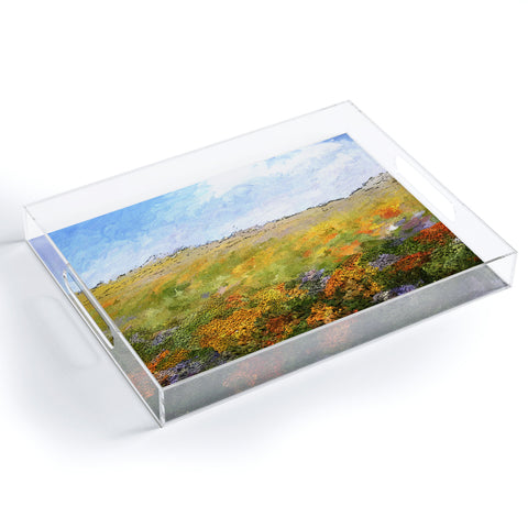 Paul Kimble Daydream Desert Acrylic Tray