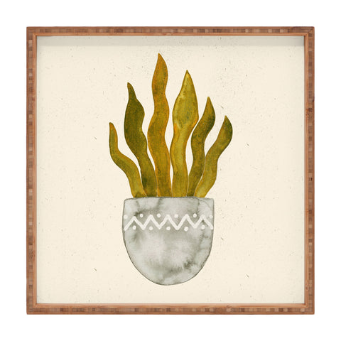 Pauline Stanley Watercolor Snake Plant Square Tray