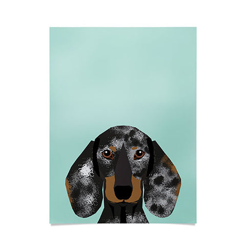Petfriendly Doxie Dachshund merle Poster