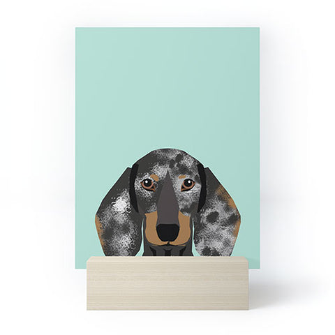 Petfriendly Doxie Dachshund merle Mini Art Print
