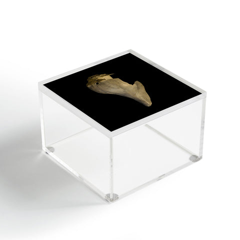 PI Photography and Designs States of Erosion 7 Acrylic Box
