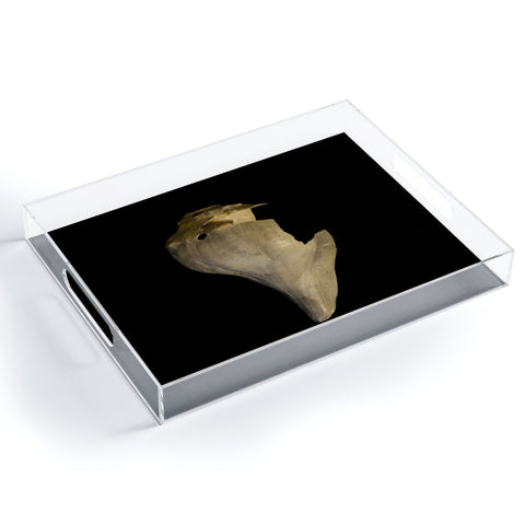 PI Photography and Designs States of Erosion 7 Acrylic Tray
