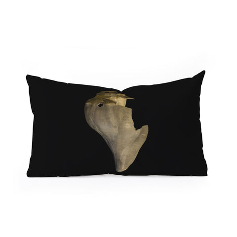 PI Photography and Designs States of Erosion 7 Oblong Throw Pillow