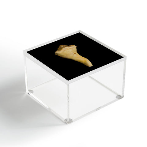 PI Photography and Designs States of Erosion 8 Acrylic Box